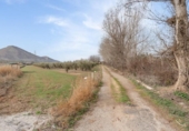 Non-developable land for sale on España, Albolote, ref: TR238311 photo