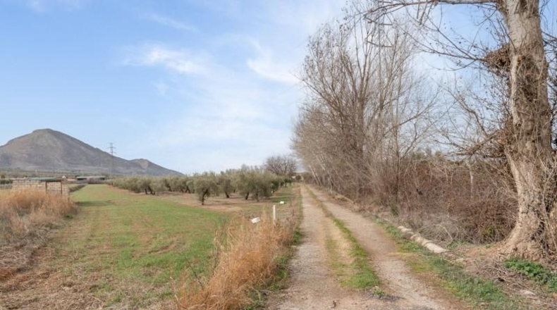 Granada - Albolote - 9337m2