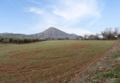 Non-developable land for sale on España, Albolote, ref: TR238311 photo