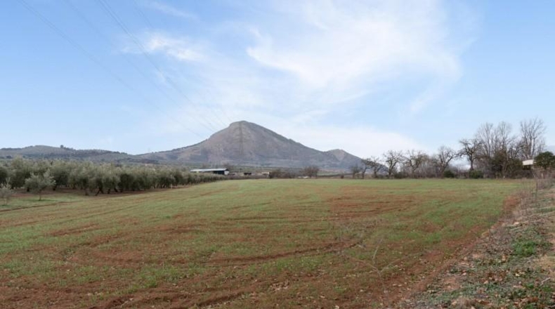 Granada - Albolote - 9337m2