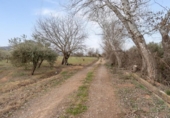 Non-developable land for sale on España, Albolote, ref: TR238311 photo
