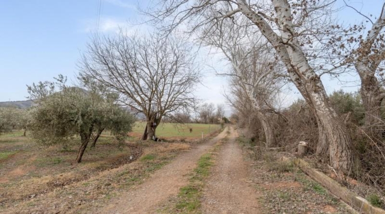 Granada - Albolote - 9337m2