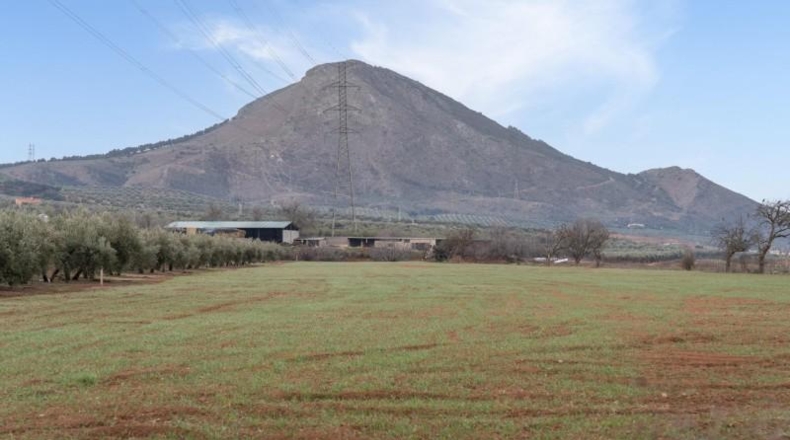 Granada - Albolote - 9337m2