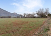 Non-developable land for sale on España, Albolote, ref: TR238311 photo