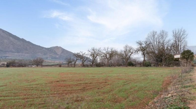 Granada - Albolote - 9337m2