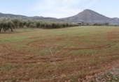 Non-developable land for sale on España, Albolote, ref: TR238311 photo