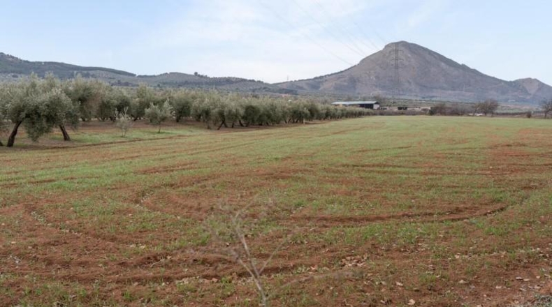 Granada - Albolote - 9337m2