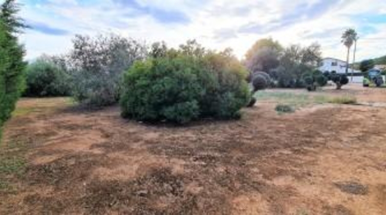 Tarragona - la Joncosa del Montmell - 2300m2