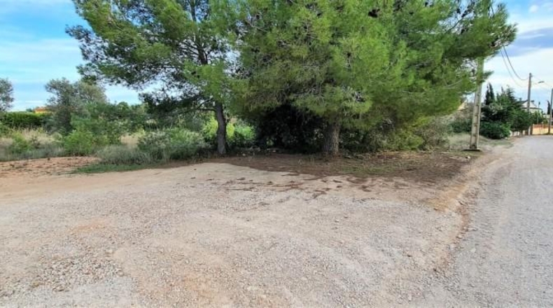 Tarragona - la Joncosa del Montmell - 2300m2