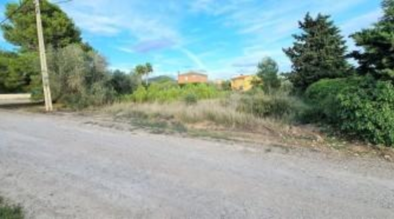 Tarragona - la Joncosa del Montmell - 2300m2