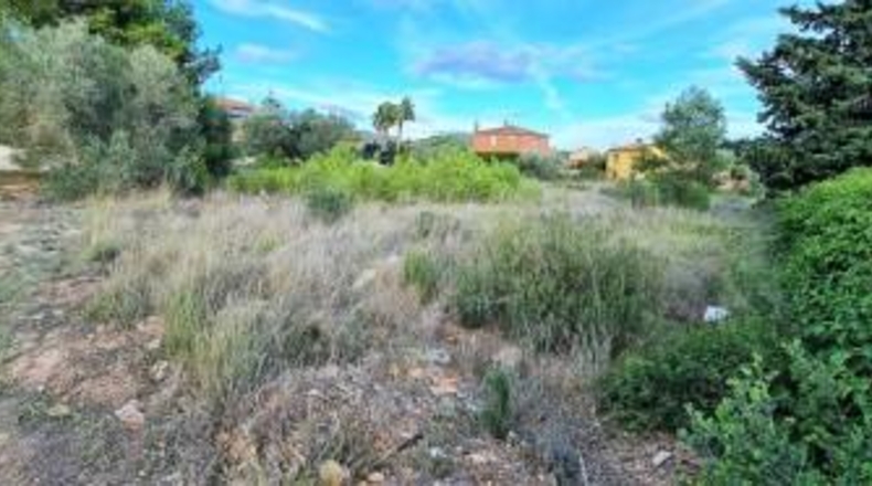 Tarragona - la Joncosa del Montmell - 2300m2