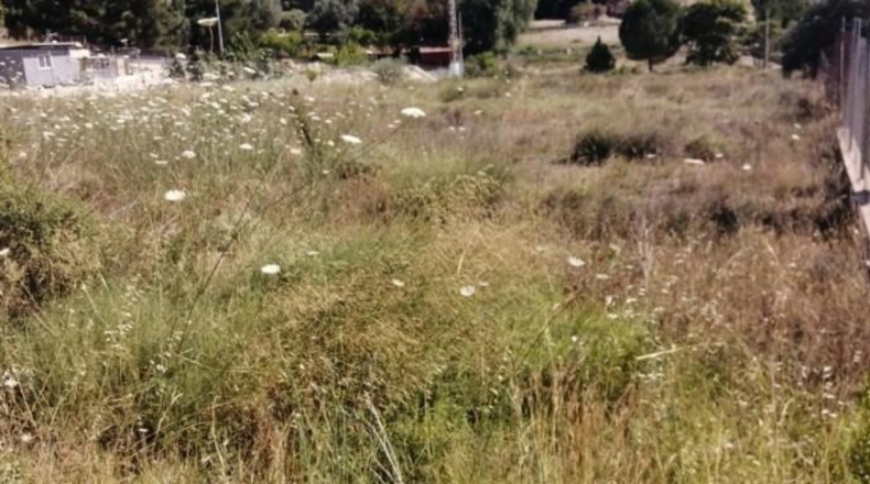 Múrcia - Molina de Segura - 2200m2