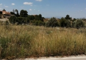 Terreny no urbanitzable en venda a la España, Molina de Segura, ref.: TR122010 foto