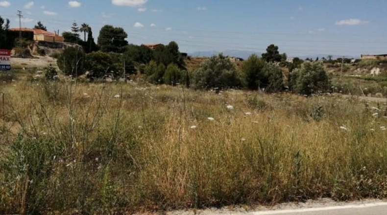 Múrcia - Molina de Segura - 2200m2
