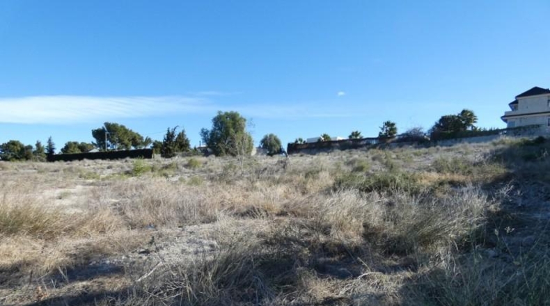 Múrcia - Molina de Segura - 2000m2