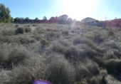 Terreno no urbanizable en venta en la España, Molina de Segura, ref: TR114538 foto