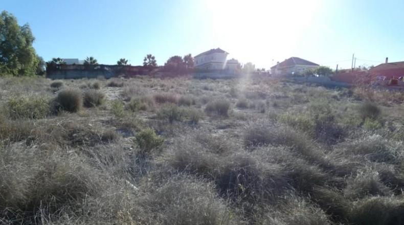 Múrcia - Molina de Segura - 2000m2
