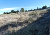 Terreno no urbanizable en venta en la España, Molina de Segura, ref: TR114538 foto