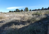 Terreno no urbanizable en venta en la España, Molina de Segura, ref: TR114538 foto