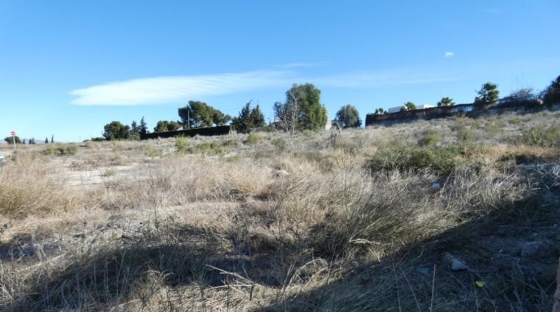 Múrcia - Molina de Segura - 2000m2
