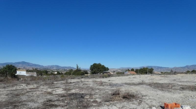 Múrcia - Molina de Segura - 2000m2