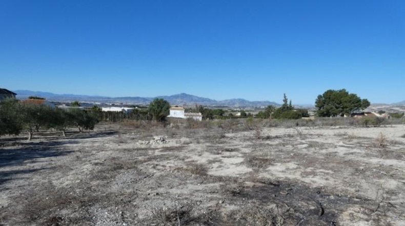 Múrcia - Molina de Segura - 2000m2