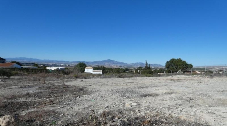 Múrcia - Molina de Segura - 2000m2