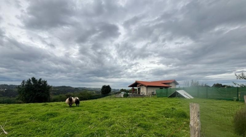 Asturias - El Carbayu - 1352m2