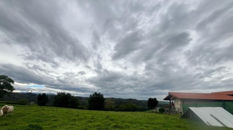 Asturias - El Carbayu - 1352m2