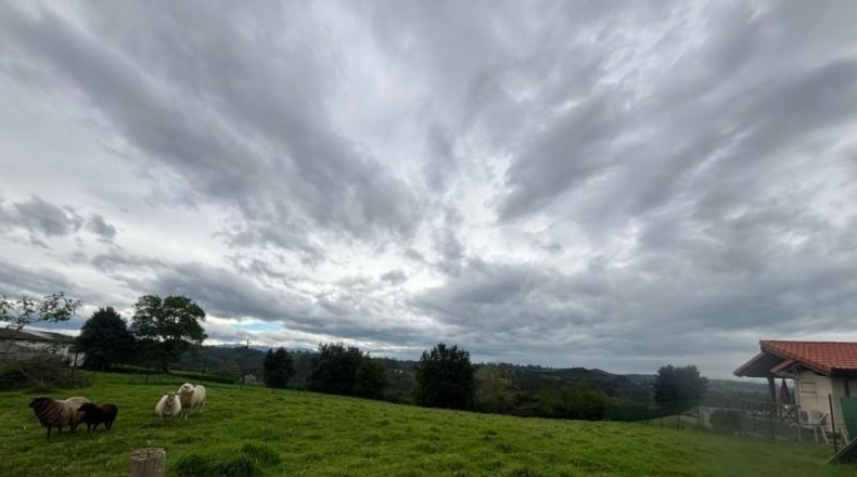 Asturias - El Carbayu - 1352m2