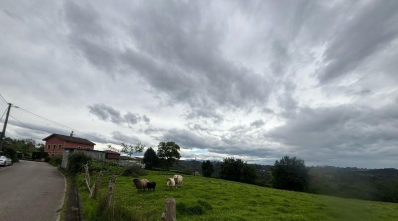 Asturias - El Carbayu - 1352m2