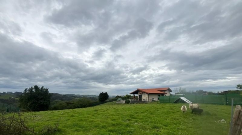 Asturias - El Carbayu - 1352m2