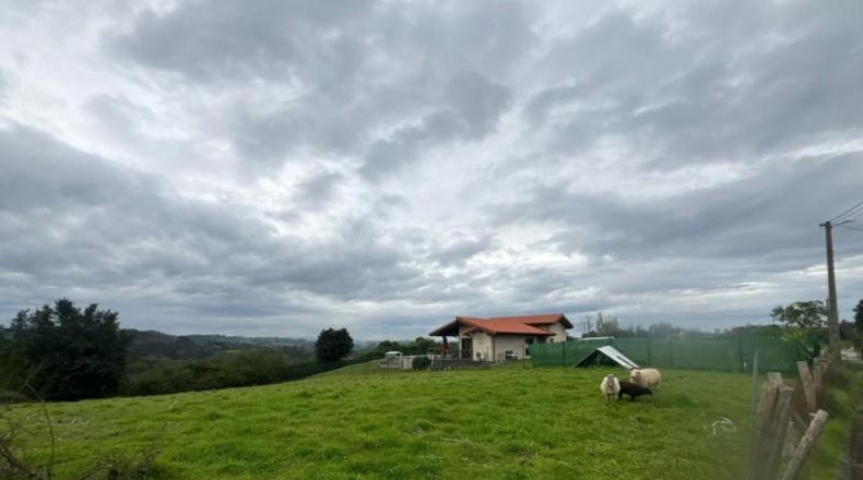 Asturias - El Carbayu - 1352m2