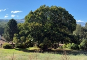 Suelo urbano en venta en la España, Umbrías, ref: TR366270 foto