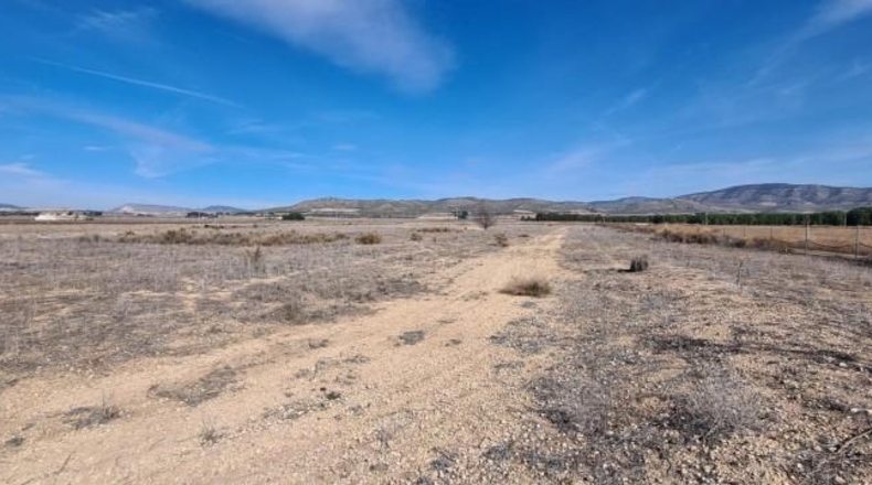 Alicante - Villena - 20643m2
