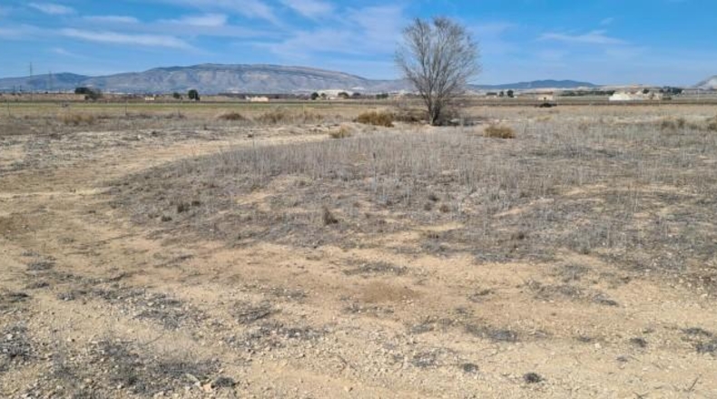 Alicante - Villena - 20643m2