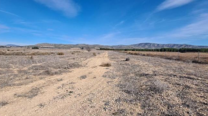 Alicante - Villena - 20643m2