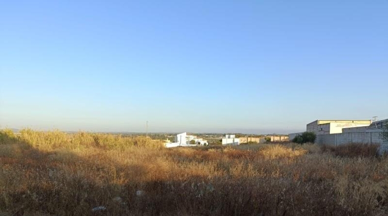 Cádiz - Chiclana de la Frontera - 1496m2