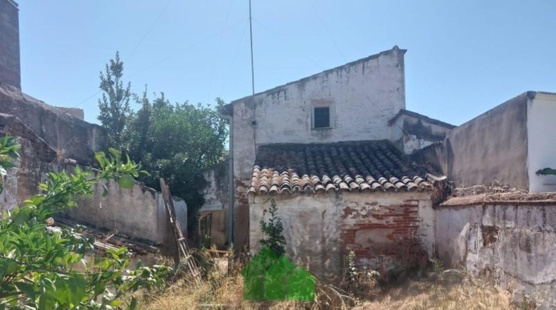 Soria - Montejo de Tiermes - 325m2