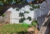 Casa de camp amb terreny en venda a la España, Montijo, ref.: TR291431 foto