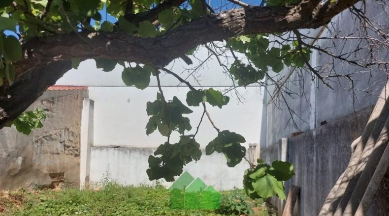 Soria - Montejo de Tiermes - 325m2