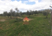 Xalet independent amb terreny en venda a la España, Arriate, ref.: TR291199 foto