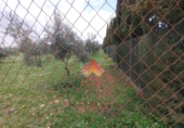 Xalet independent amb terreny en venda a la España, Arriate, ref.: TR291199 foto