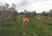 Xalet independent amb terreny en venda a la España, Arriate, ref.: TR291199 foto