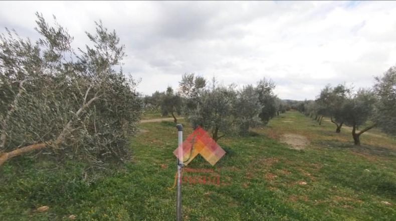 Малага - Arriate - 11000m2