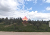 Xalet independent amb terreny en venda a la España, Arriate, ref.: TR291199 foto