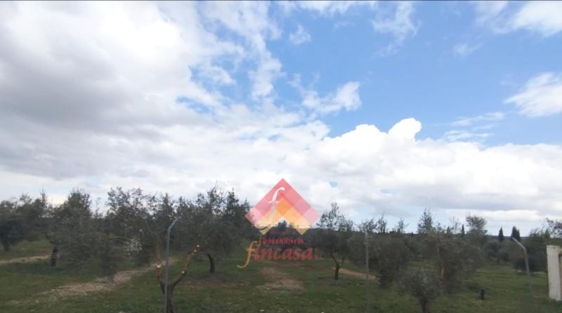 Малага - Arriate - 11000m2