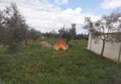 Xalet independent amb terreny en venda a la España, Arriate, ref.: TR291199 foto