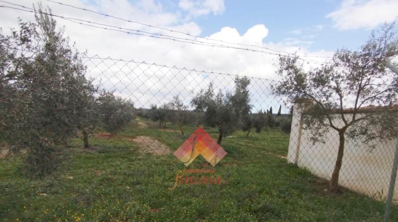 Малага - Arriate - 11000m2