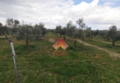 Xalet independent amb terreny en venda a la España, Arriate, ref.: TR291199 foto